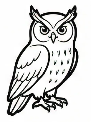 how to draw an owl.webp